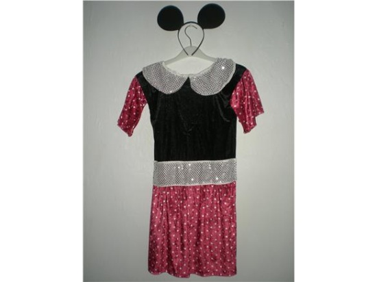 Picture of Minnie Mouse. Costume for Wheelchair User.