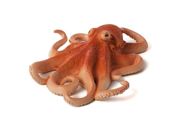 Billede af Mojo- Blæksprutte