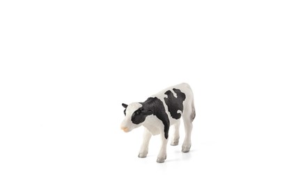 Billede af Mojo - Holstein Kalv, stående