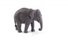 Billede af Animal Planet - Asiatisk elefant