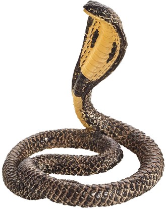 Billede af Mojo-Kobra slange