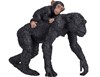 Billede af Animal Planet - Chimpanse med unge