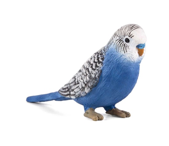 Billede af Mojo - Blue Budgerigar