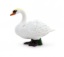 Imagem de Mojo - Botão cisne