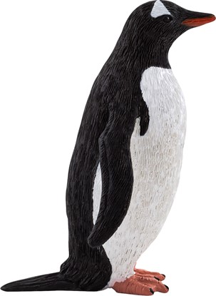 Billede af Mojo- Gentoo Pingvin