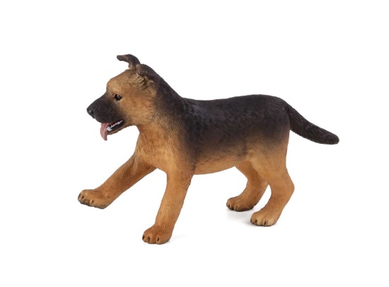 Billede af Mojo - Schäferhund Hvalp