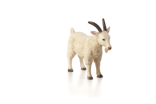 Billede af Mojo - Ged