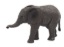 Obrázek Mojo - Africký dětský slon, stojící