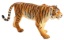 Bild von Animal Planet - Bengalischer Tiger