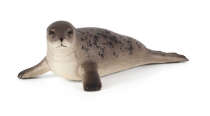 Kép Animal Planet - Szürke fókát