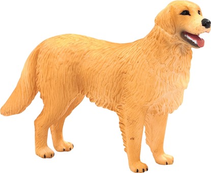 Billede af Mojo - Golden Retriver hund