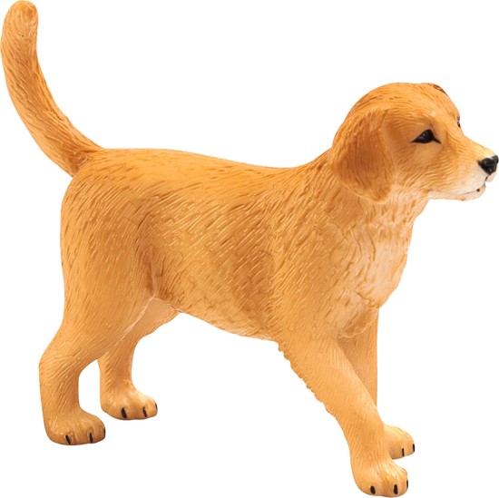Billede af Mojo - Golden Retriver hundehvalp