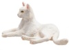Afbeeldingen van Mojo - Witte liggende kat