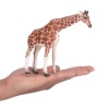 Billede af Mojo - Giraff hun