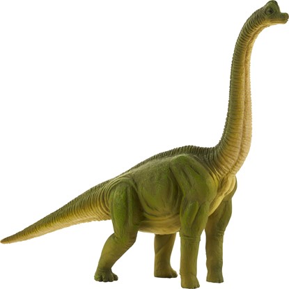 Billede af Mojo - Brachiosaurus