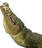 Billede af Mojo - Krokodille