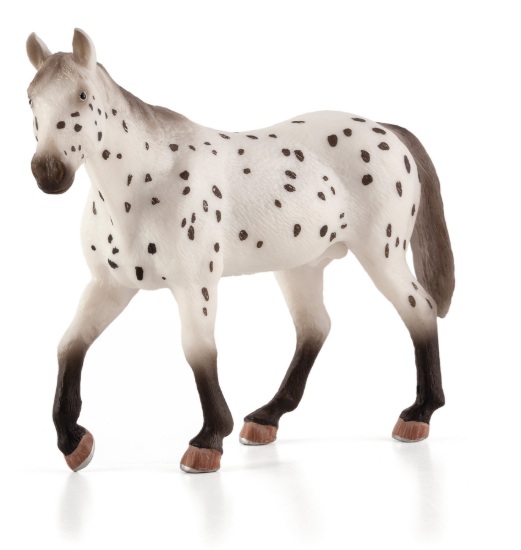 Billede af Mojo - Appaloosa Hingst