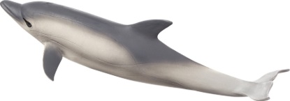 Billede af Mojo - Dolphin