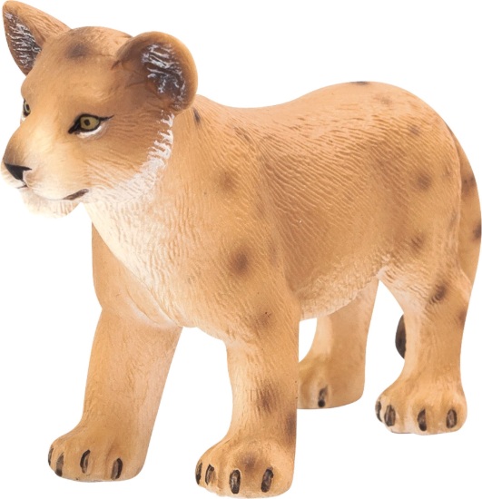 Poza cu Mojo - Løveunge, stående