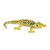 Billede af Mojo Leopard gekko