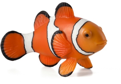 Billede af Mojo - Klovnfisk