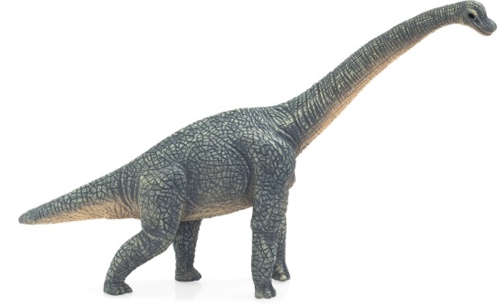 Billede af Mojo - Brachiosaurus
