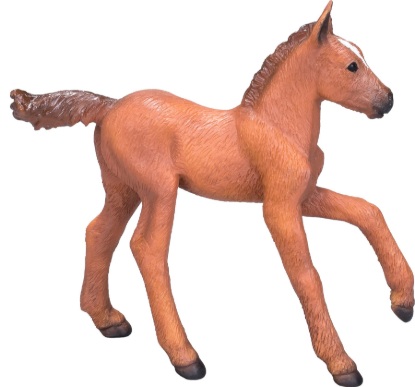 Billede af Mojo - Arabisk Føl Kastanje