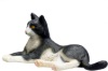 Picture of Liggende sort/hvid kat