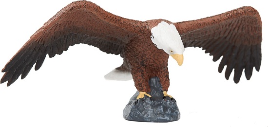 Billede af Mojo - Amerikansk skallet ørn