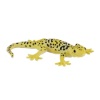 Billede af Mojo Leopard gekko