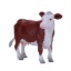 Obrázok z Mojo Hereford krava