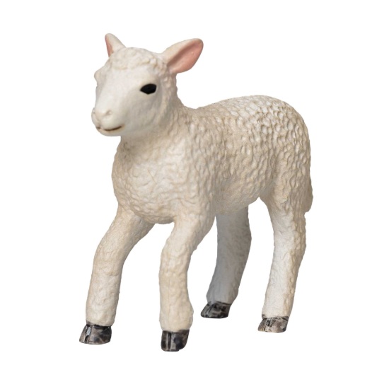 Billede af Mojo- Løbende lam