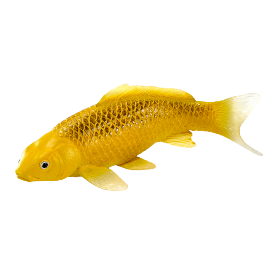 Billede af Mojo Koi karpe, Guld