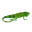 Image de Mojo Leguan