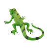 Billede af Mojo Leguan
