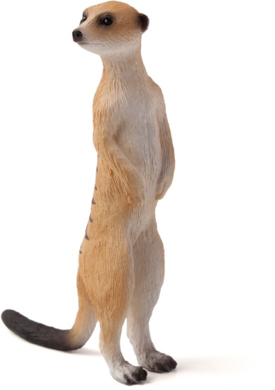 Billede af Mojo Surikat