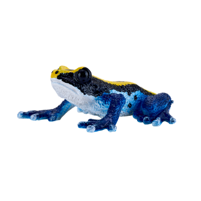 Billede af Mojo Giftige dart frø, Blå