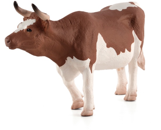 Εικόνα της MOJO - Simmenthal ko