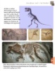 Billede af Dinosaurer og andre øgler fra fortiden